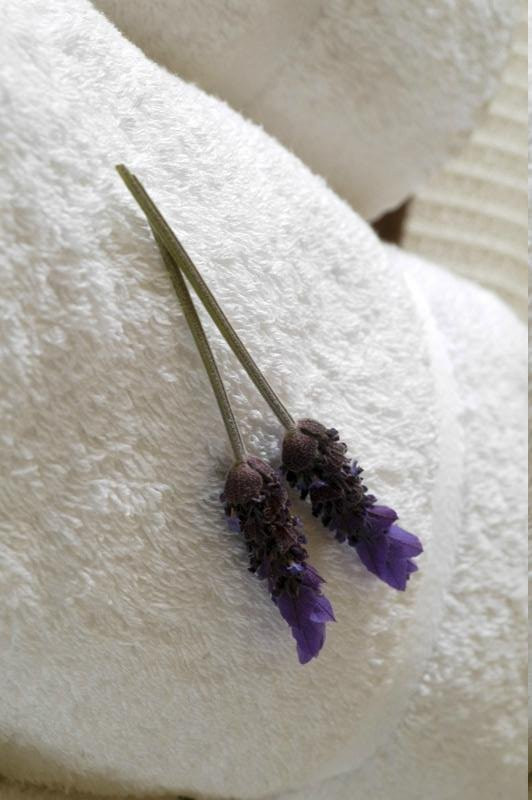 Bergvliet酒店住宿-Le Petit Vignoble Bed and Breakfast