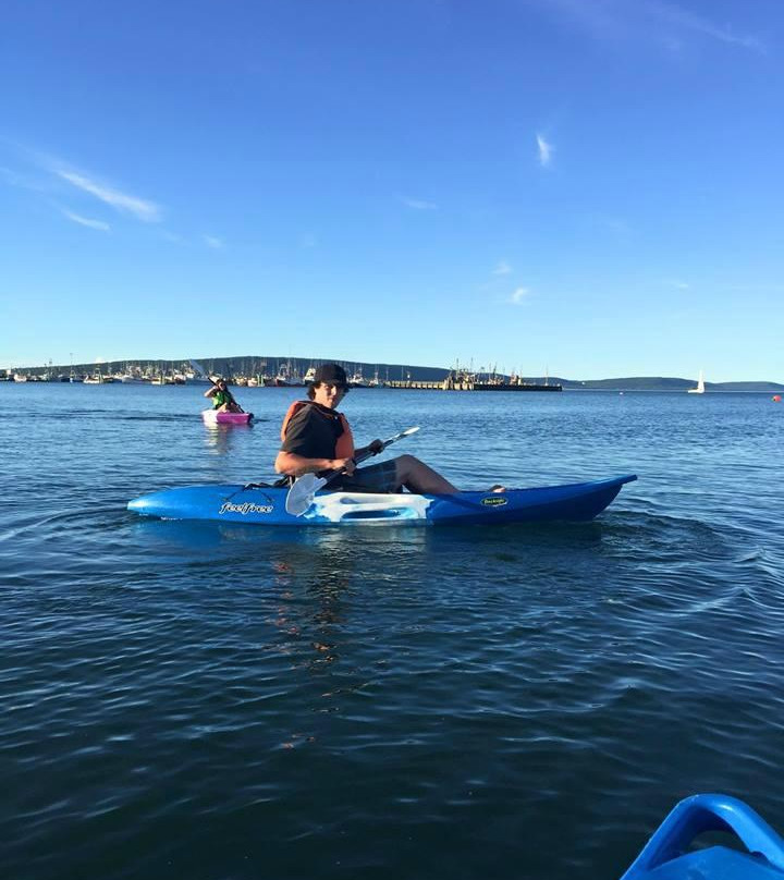Dockside Kayak Rentals-Digby必去景点