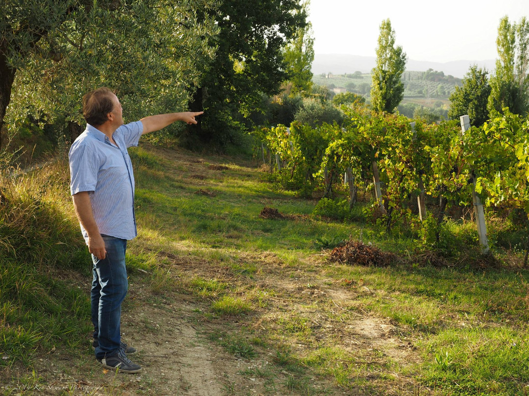 Colle del Saraceno-Montefalco必去景点