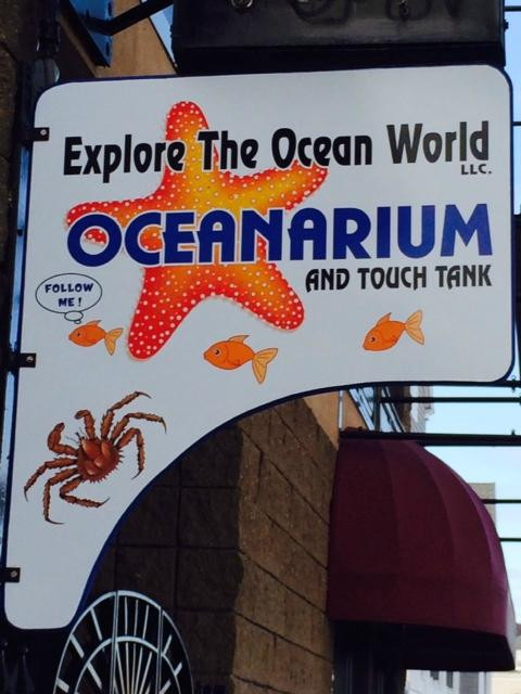 Explore the Ocean World Oceanarium-汉普顿必去景点