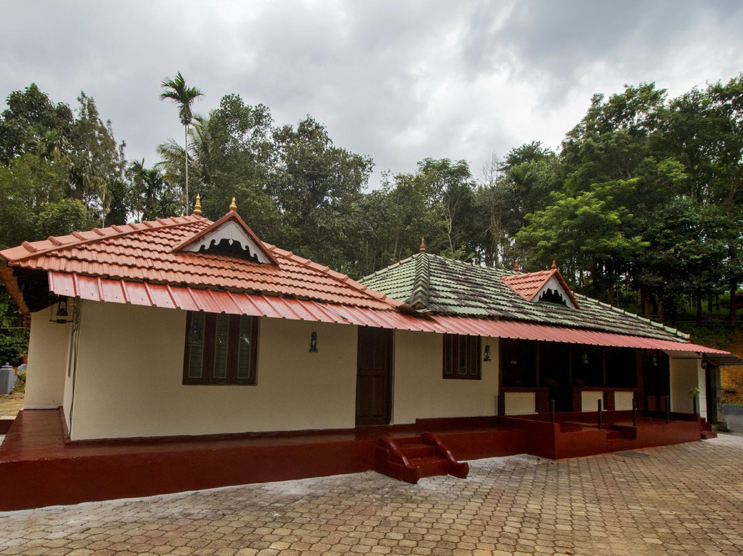 Mezzma - The Shack主图