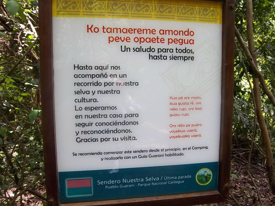 Sendero Guarani-Calilegua必去景点
