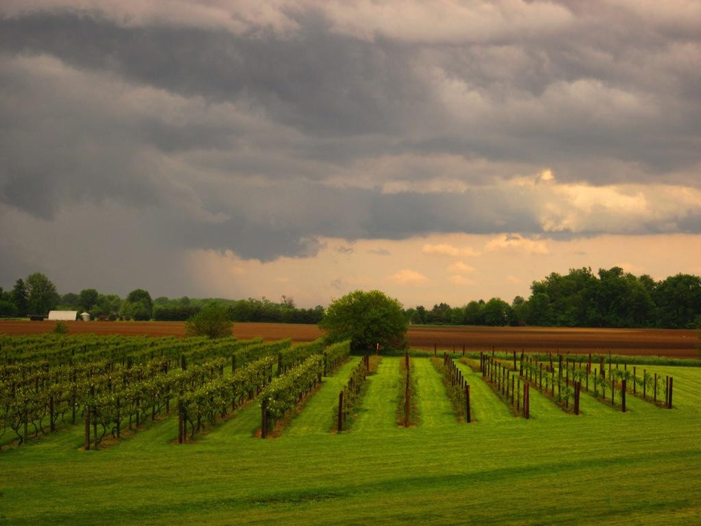 Country Moon Winery-Noblesville必去景点