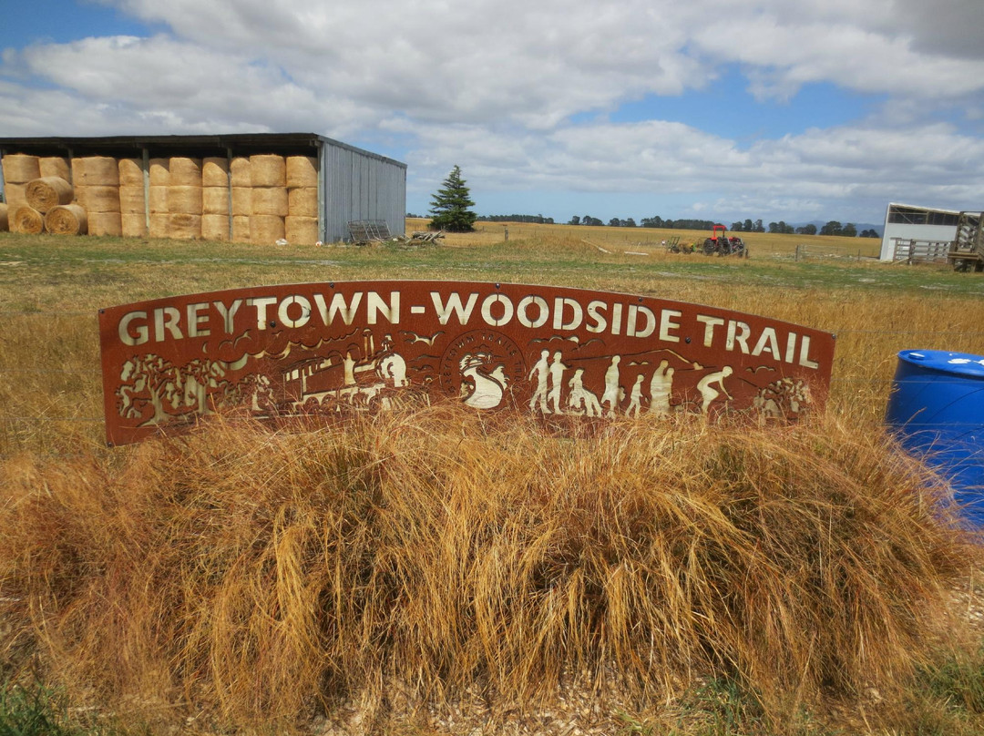 Greytown Woodside Trail景点图片