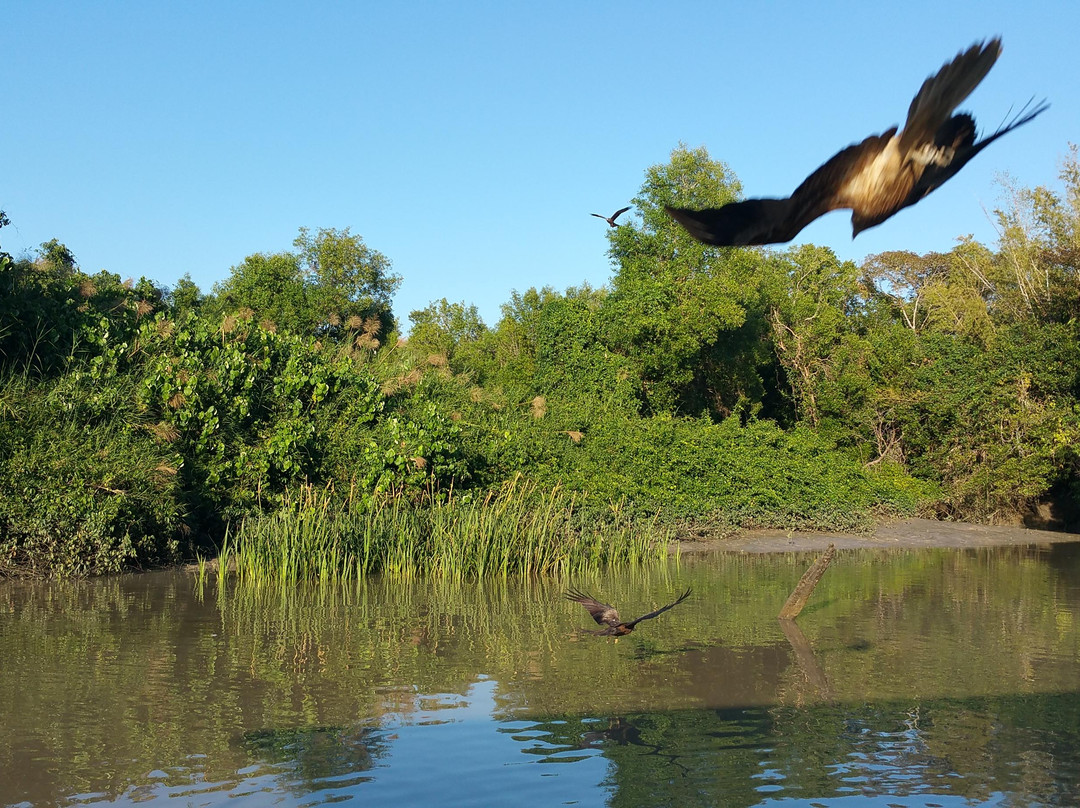 Litchfield Escapes-达尔文市必去景点