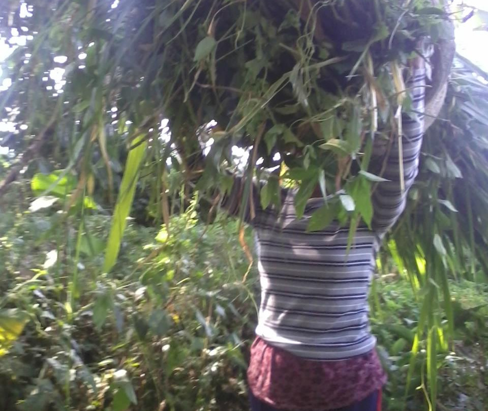 Herb Walk-邦利必去景点