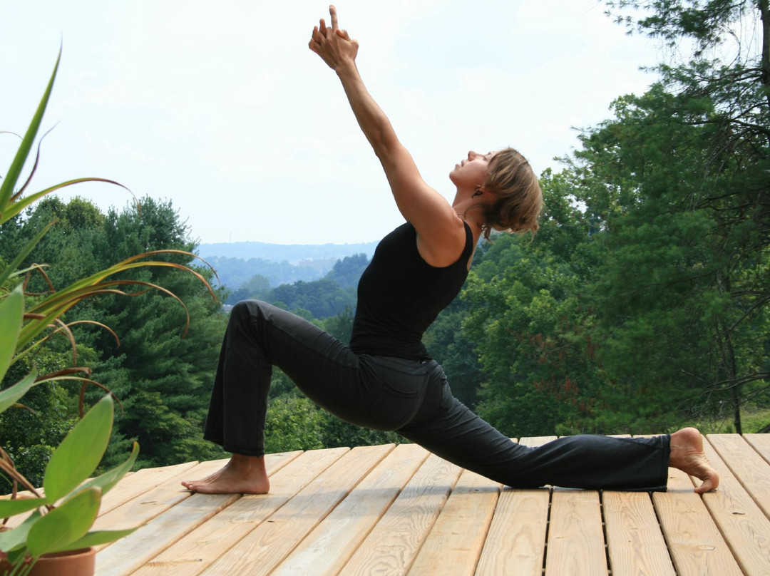 Bodhi Tree Guesthouse & Studio主图