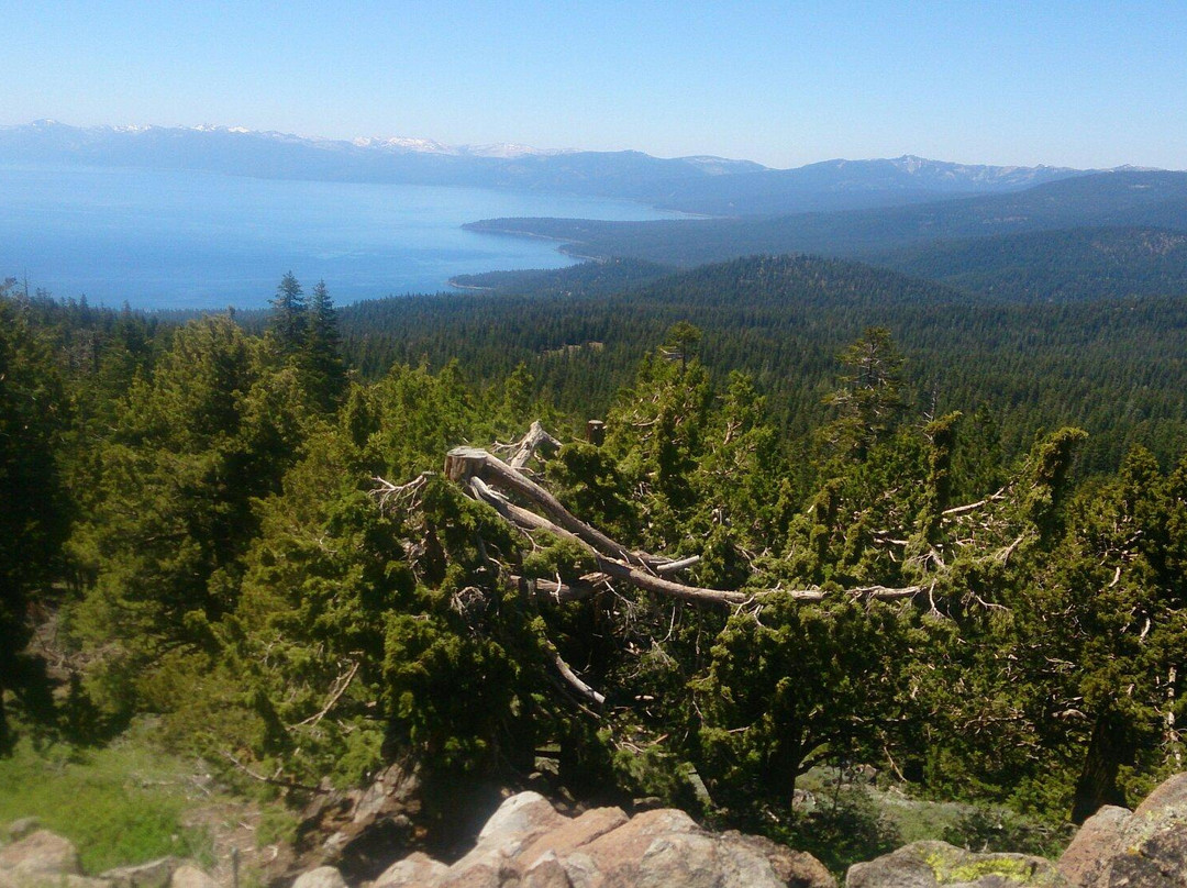 Martis Peak Fire Lookout景点图片