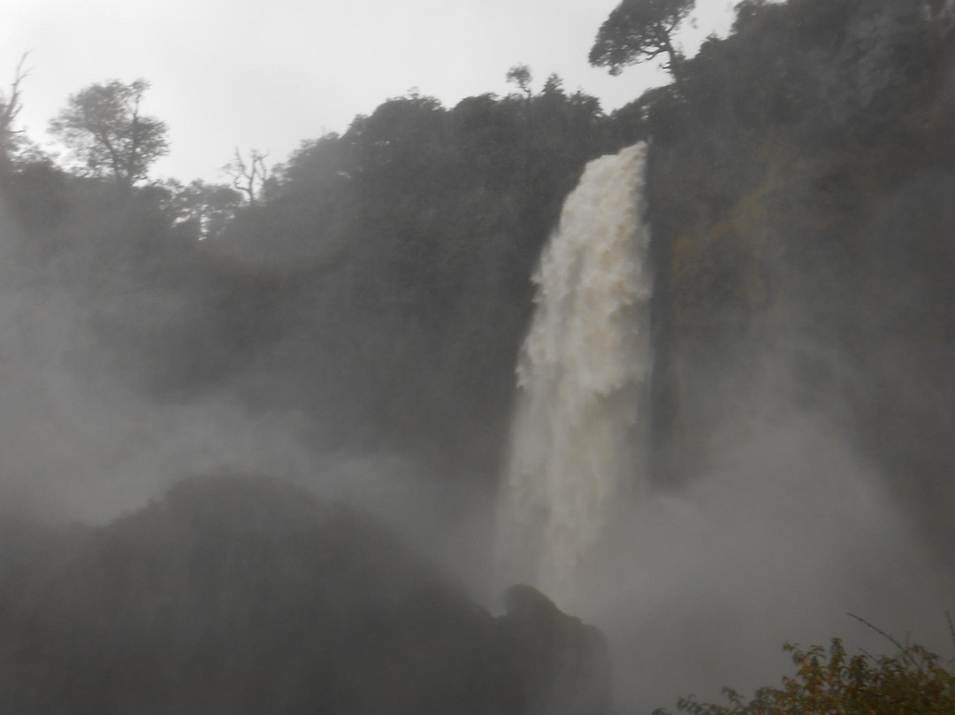 Salto El Leon景点图片