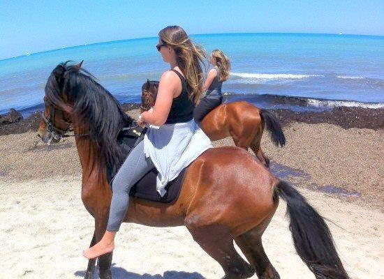 Ranch Tanit Djerba-米栋必去景点