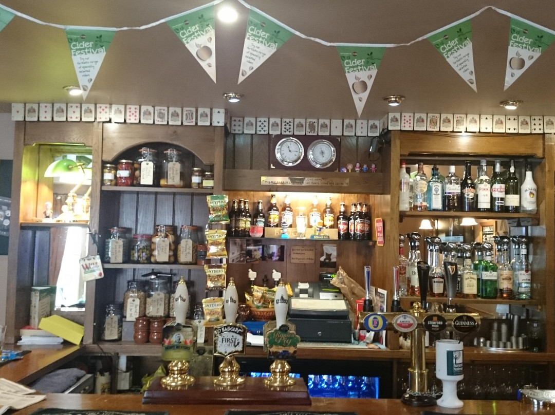 Oddfellows Arms-Wimborne Minster必去景点