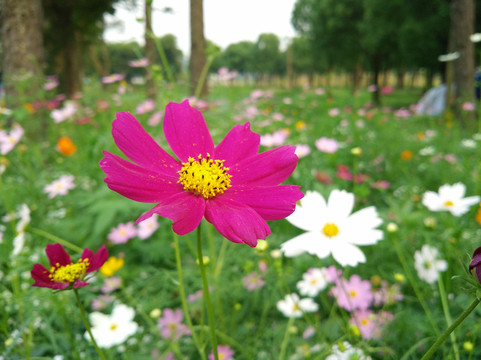 杭州东方文化园-杭州市必去景点