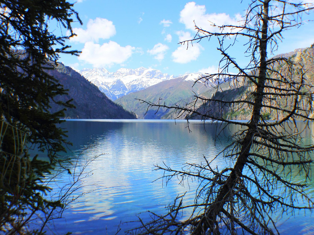 Sary Chelek Biosphere Reserve-Jalal-Abad Province必去景点