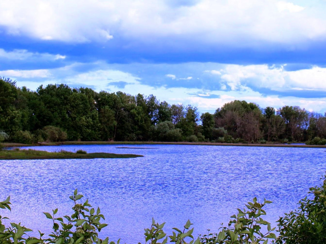 Fernhill Wetlands Park-Forest Grove必去景点