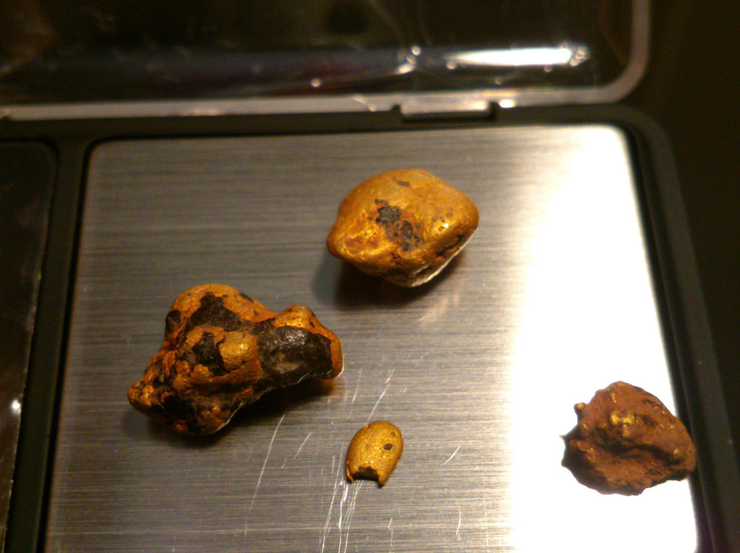 Gold Prospecting Kalgoorlie-卡尔古利必去景点