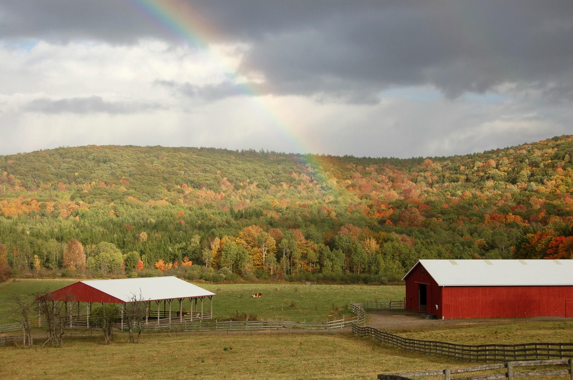 Farm Sanctuary-官方