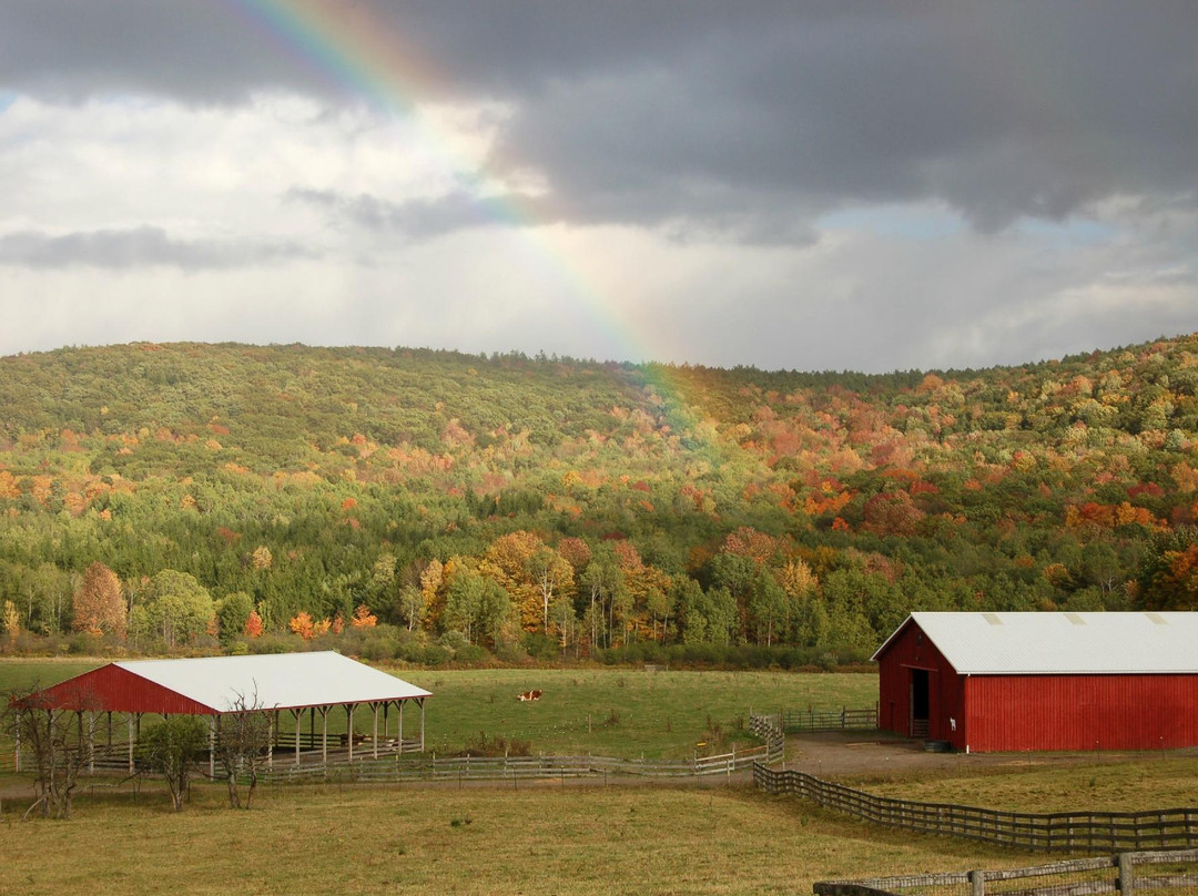 Farm Sanctuary主图