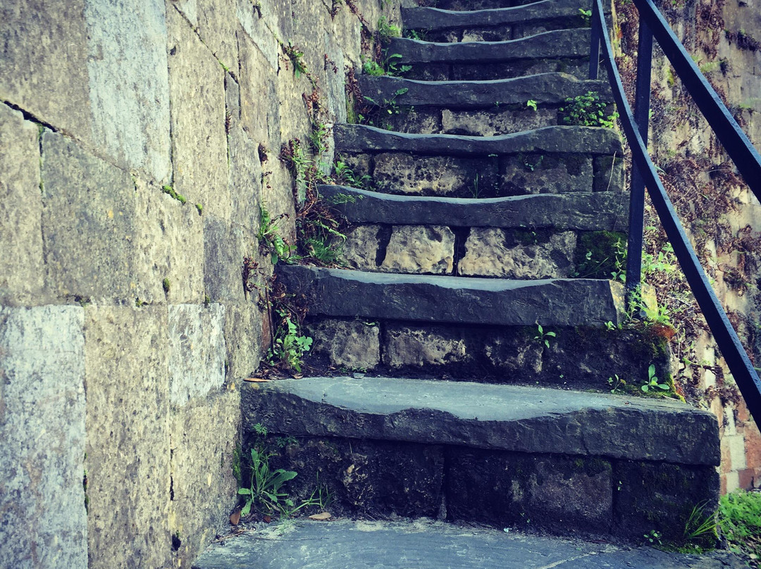 Historic River Street-萨凡纳必去景点