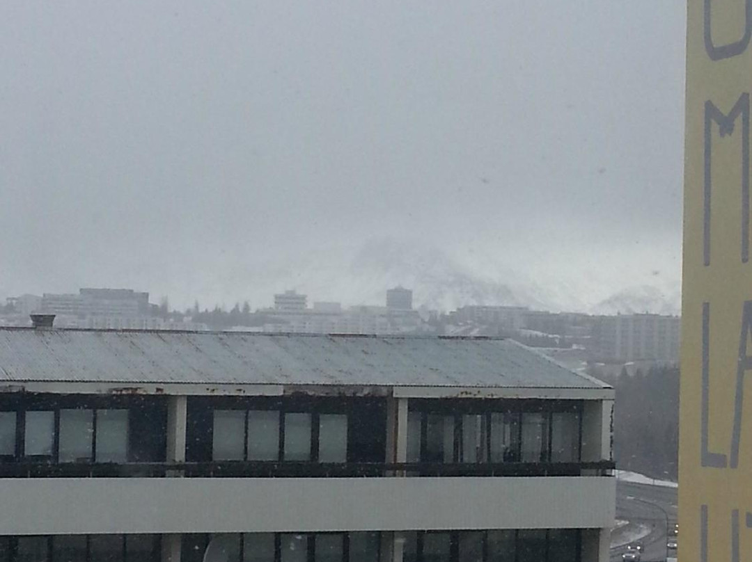 North Star Apartments主图