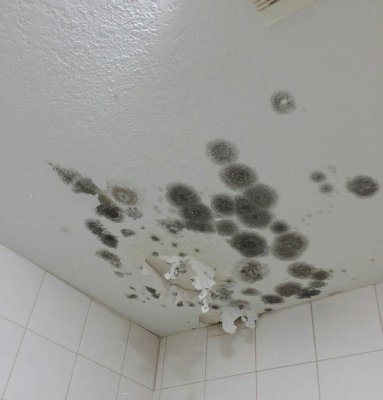 Antioch Executive Inn