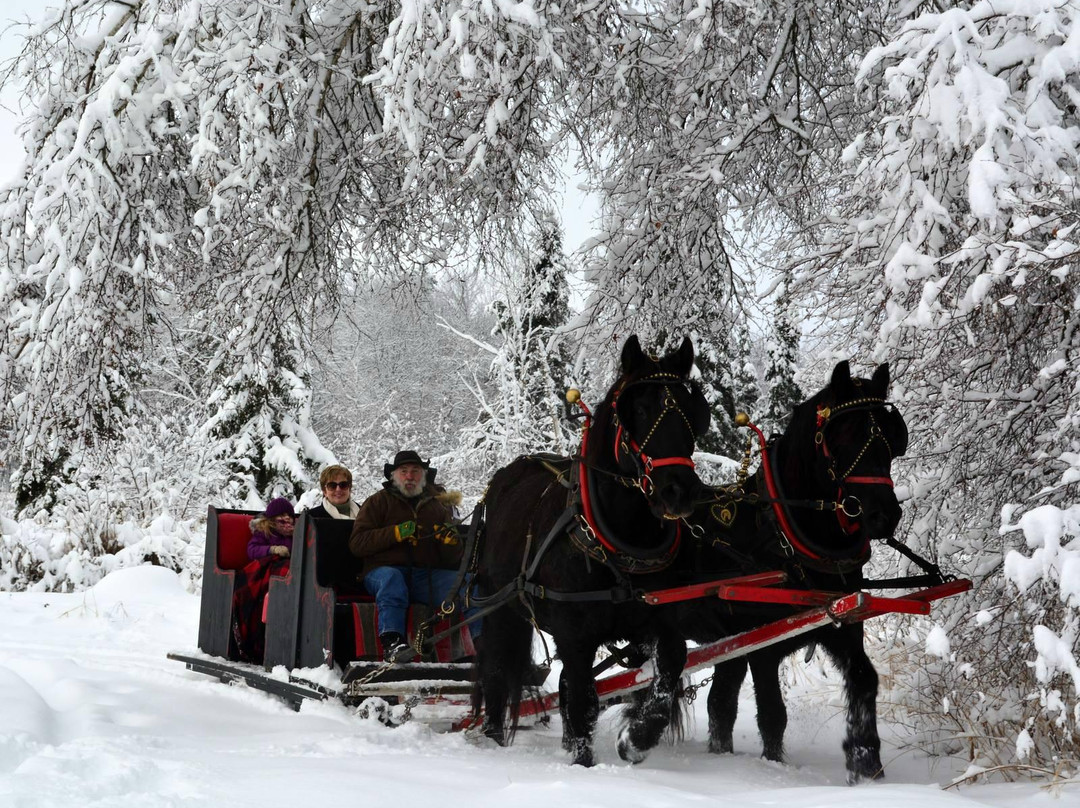 Derby Line旅游攻略图片