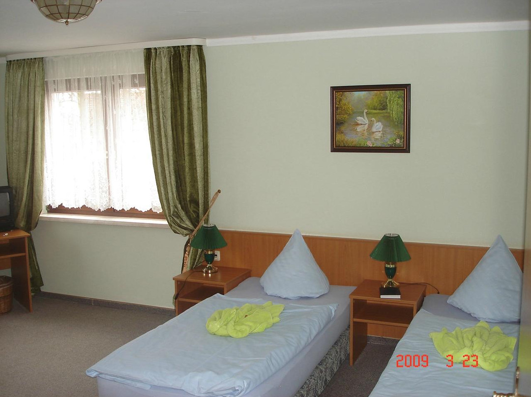 Schwanenteich Pension主图