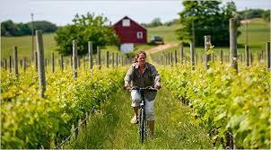 NJ Bike Tours​-Pennington必去景点