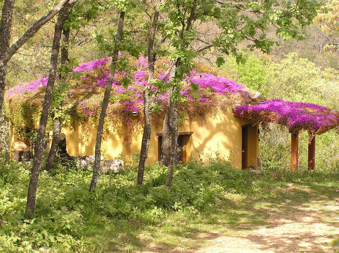 Apartamentos Rurales Ecopangea
