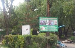 Bugu-Ene Zoo-Karakol必去景点