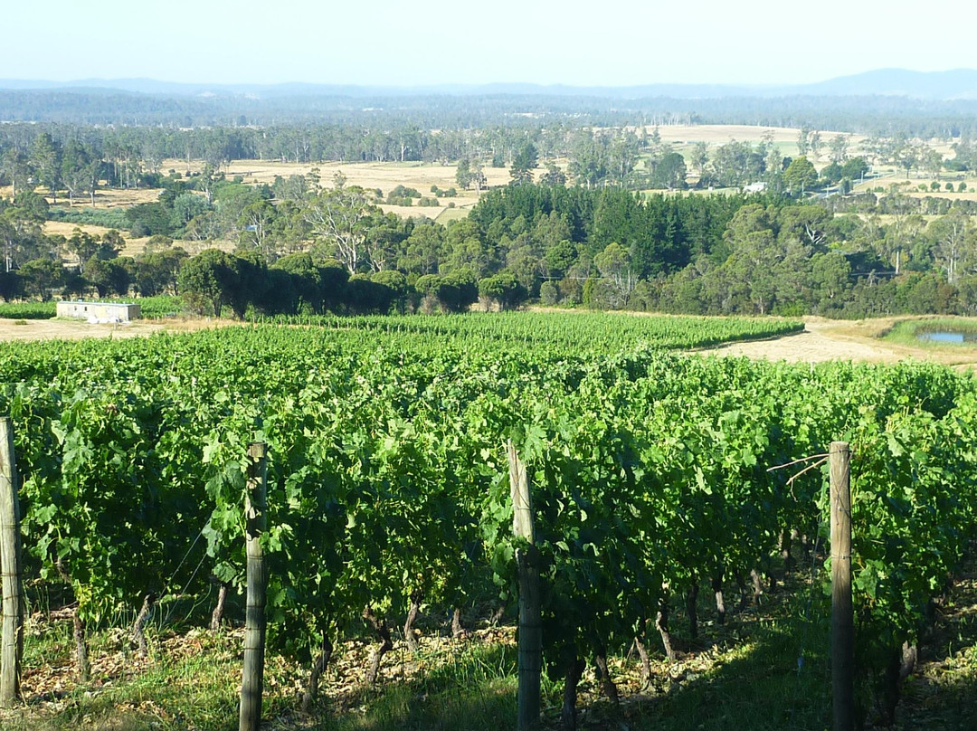 Exeter旅游景点-Grey Sands Vineyard