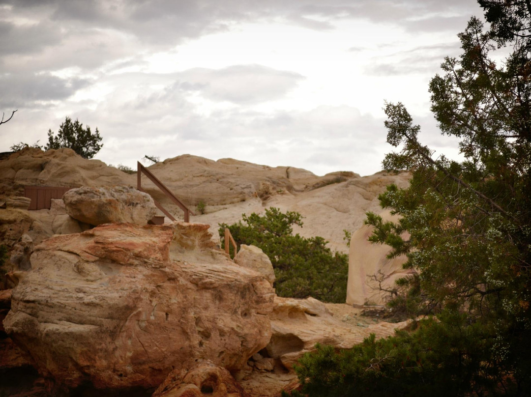 Lions Wilderness Park Amphitheater-法明顿必去景点