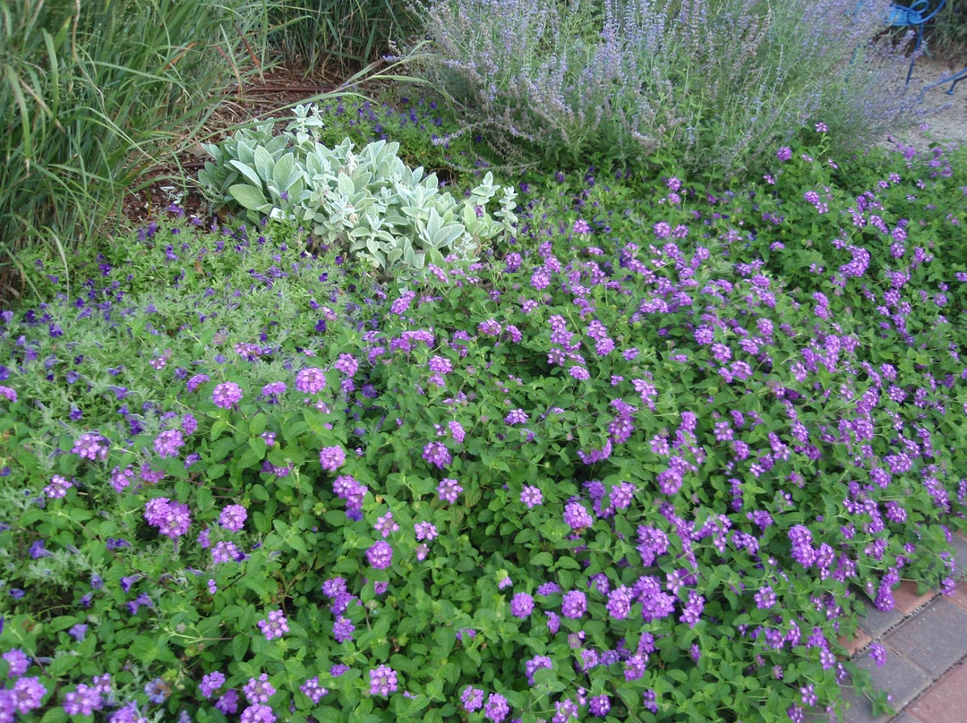 The Botanic Garden-斯蒂尔沃特必去景点