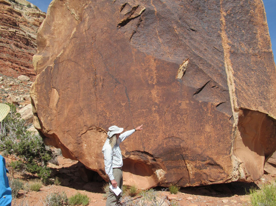 Far Out Expeditions-布拉夫必去景点