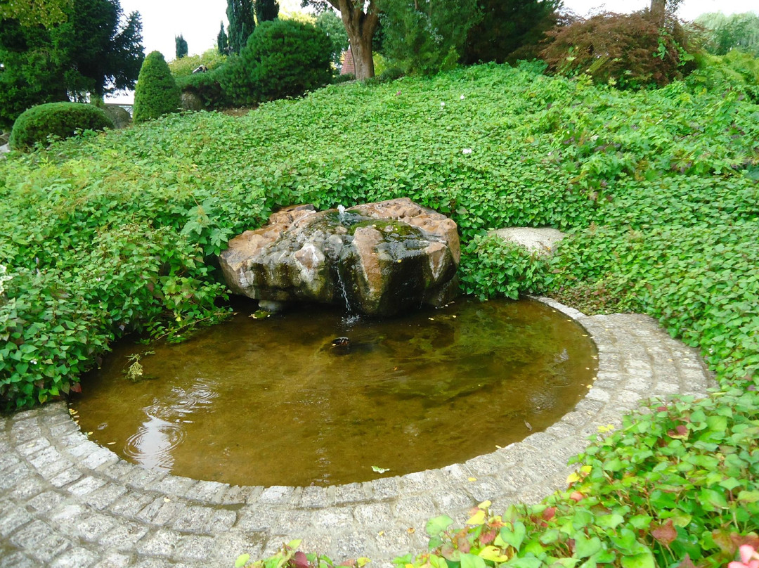 Rain旅游攻略图片