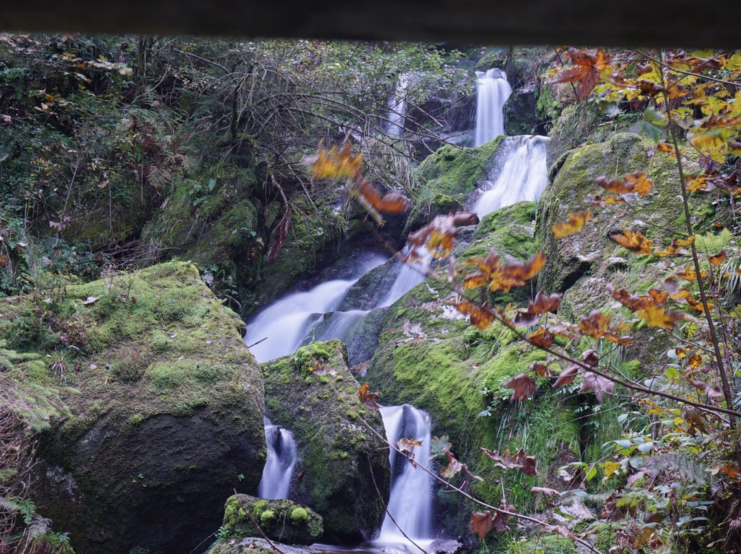 Gertelbach-Wasserfälle-Buehlertal必去景点