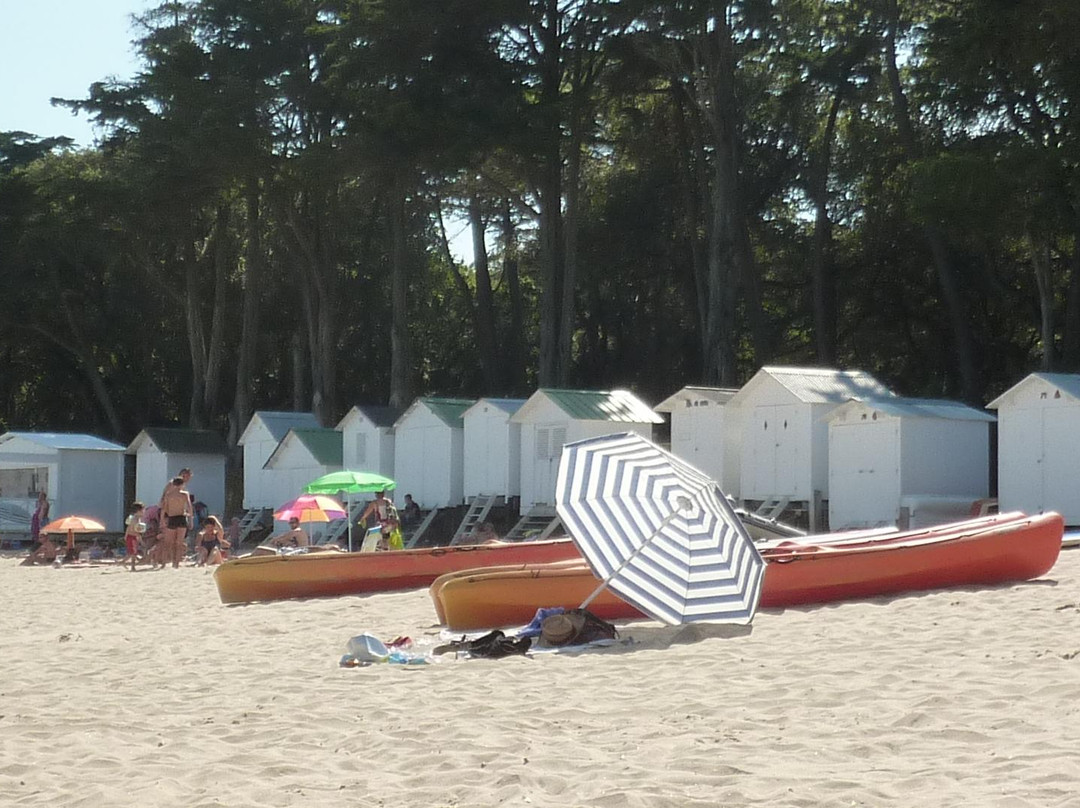 Plage des Dames景点图片