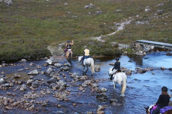 Highlands Unbridled Trail Riding & Trekking Centre景点图片