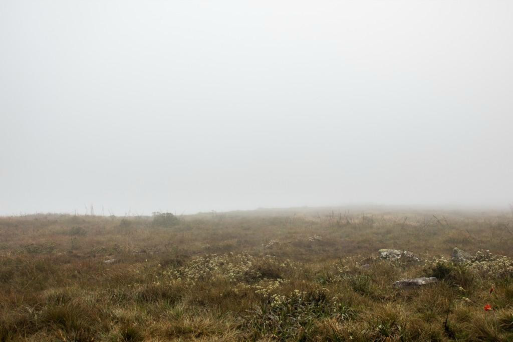 Pico da Lombada-Lima Duarte必去景点