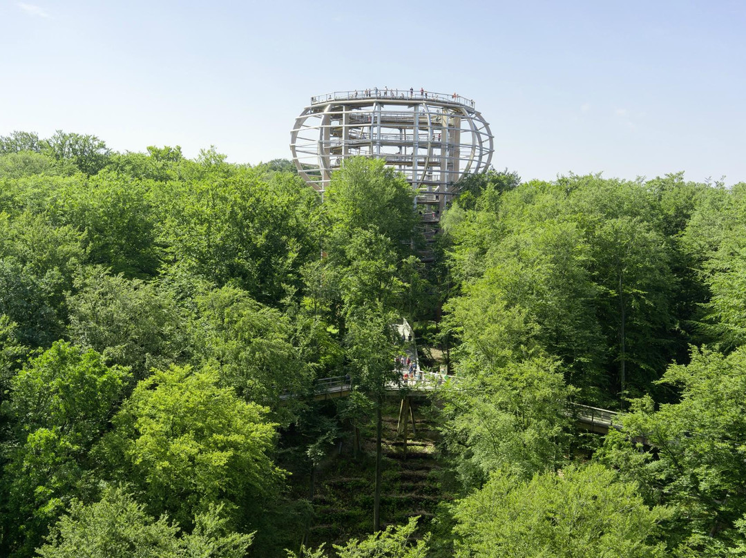 Baumwipfelpfad im Naturerbe Zentrum Rügen景点图片