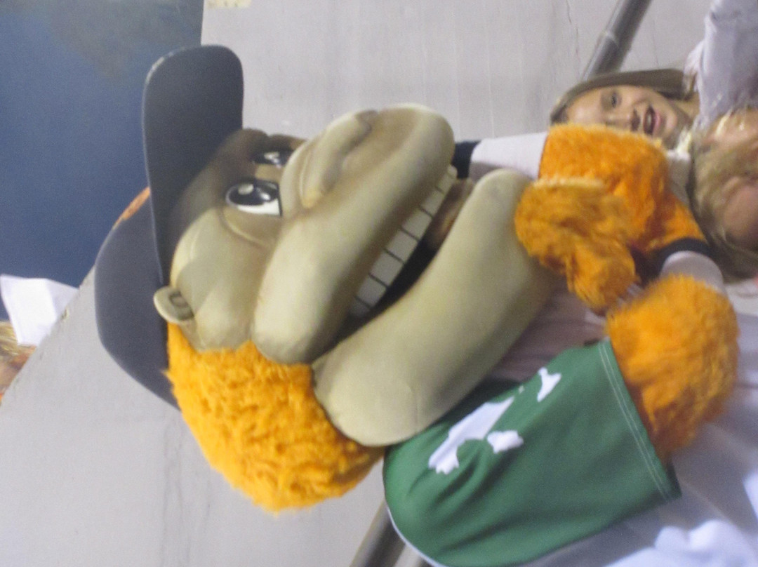 Municipal Stadium-圣何塞必去景点