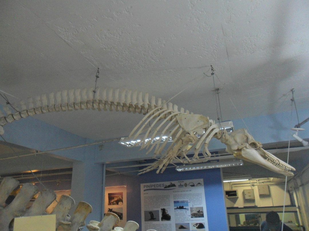 Museu de Ciências Naturais da Universidade Federal do Rio Grande do Sul – MUCIN-Imbe必去景点