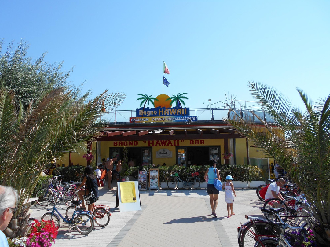 Bagno Hawaii N.9-切塞纳蒂科必去景点