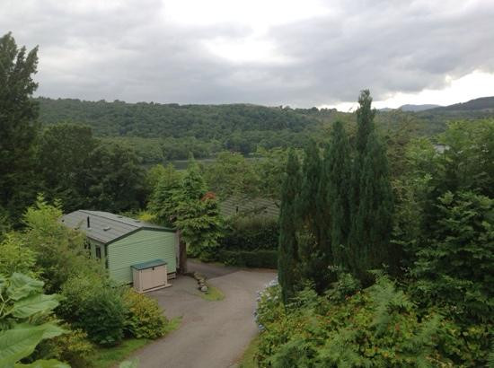 Avon Wood