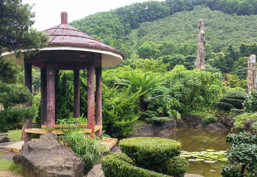 仙湖化石森林-深圳市必去景点