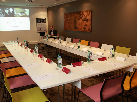 水星图卢兹康潘加法尔里酒店