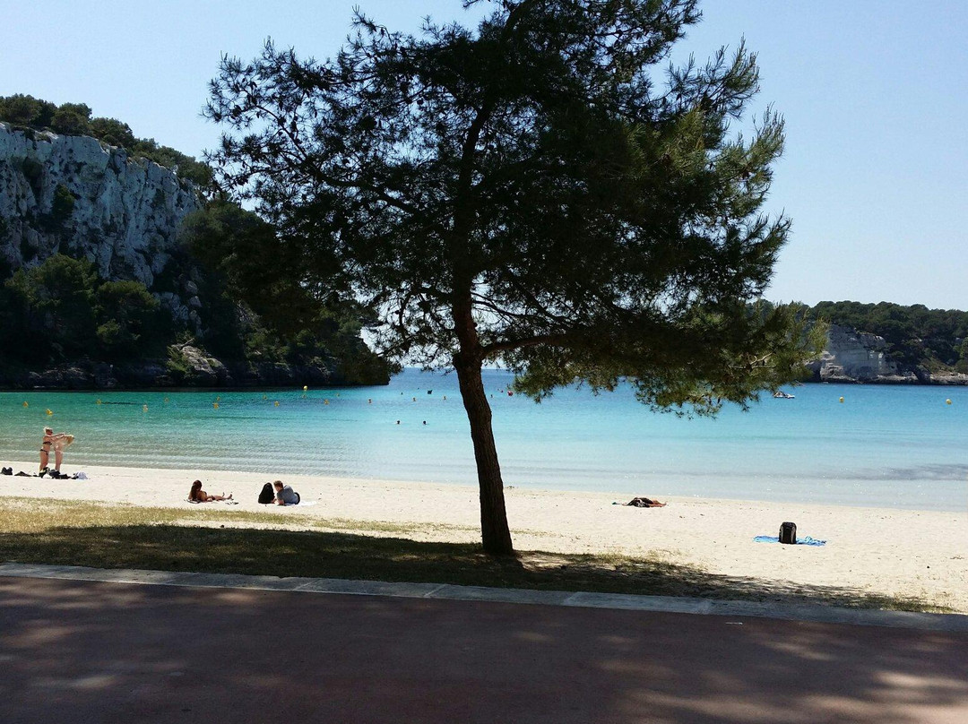 Blue Islands Diving-米诺卡必去景点