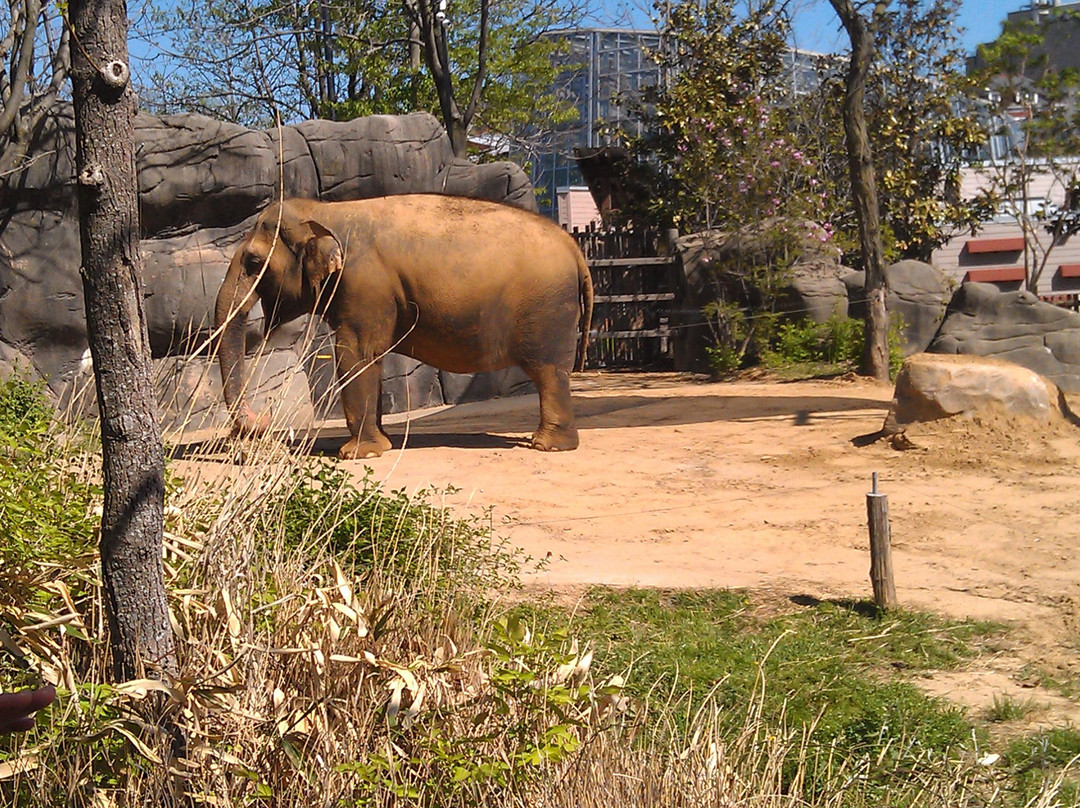 Cincinnati Zoo & Botanical Garden-辛辛那提必去景点