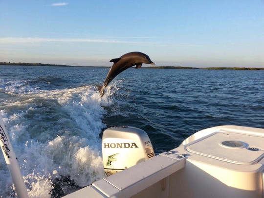 Chubby's Tropical Adventures-迈尔斯堡海滩必去景点
