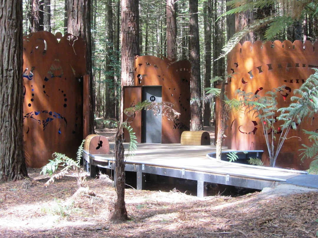 红木森林公园-罗托鲁瓦必去景点