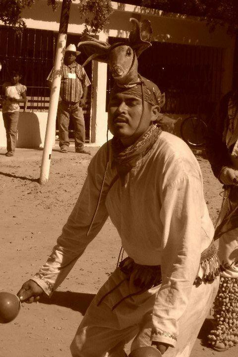 San Miguel Zapotitlan-Los Mochis必去景点